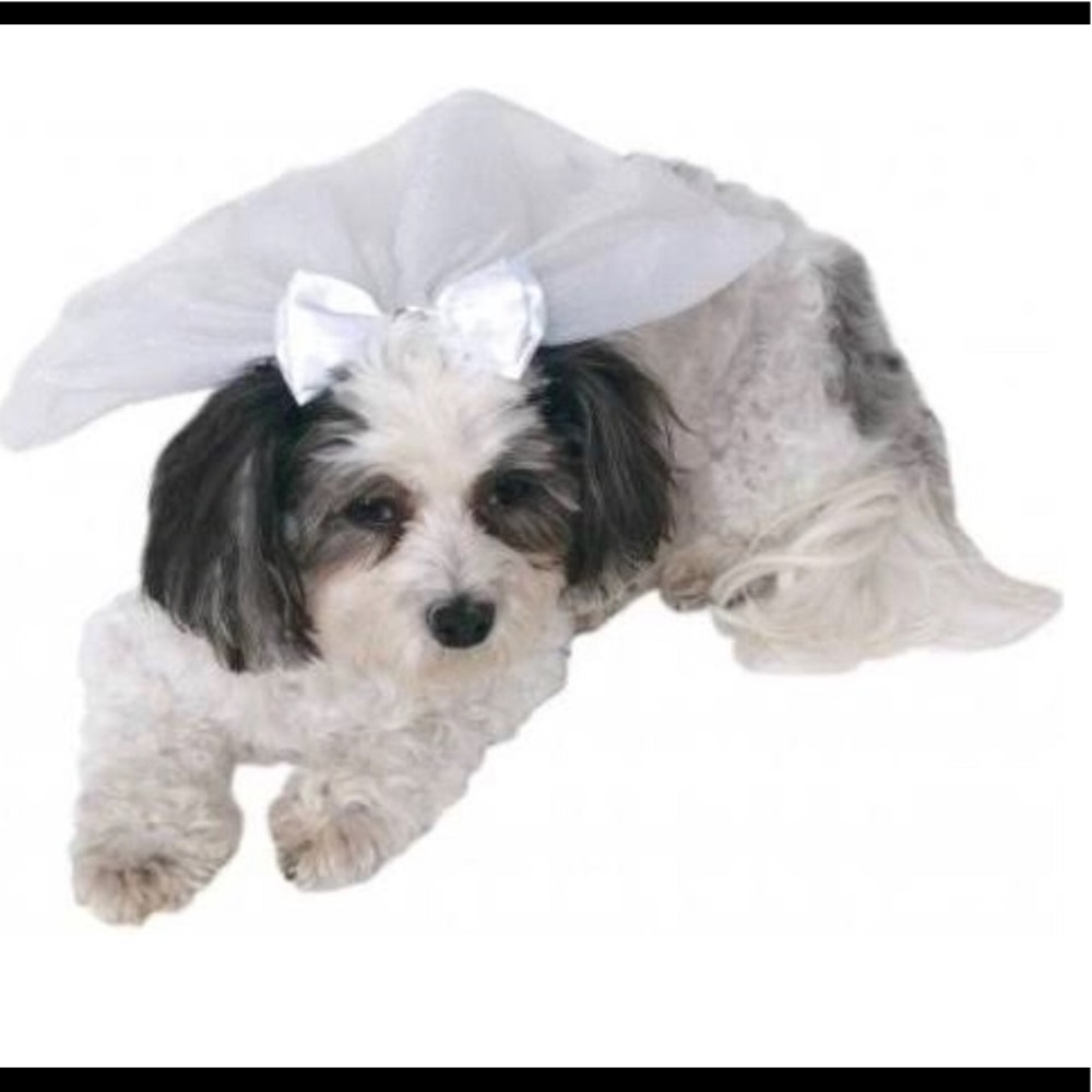 🐾🐾Dog Wedding Veil NWT